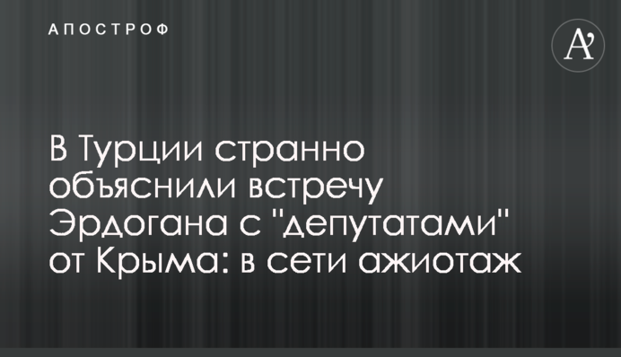 У Туреччині дивно пояснили зустріч Ердогана з 
