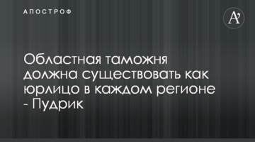 Областная таможня должна существовать как юрлицо в каждом регионе - Пудрик
