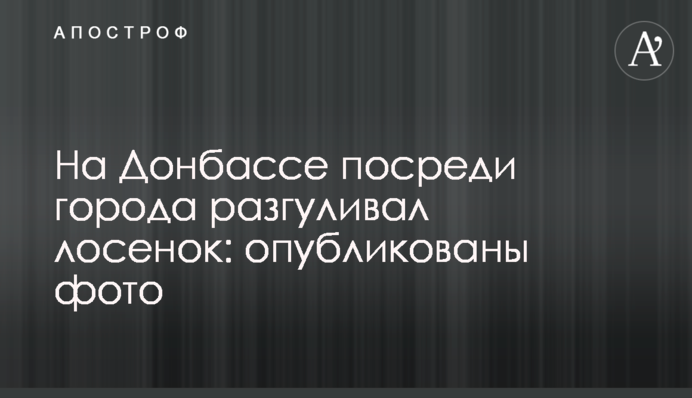 На Донбасі посеред міста розгулювало лосеня: опубліковано фото