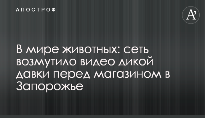 У світі тварин: мережу обурило відео дикої тисняви перед магазином у Запоріжжі