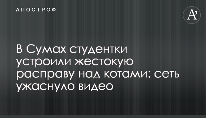 В Сумах студентки устроили жестокую расправу над котами: сеть ужаснули кадры