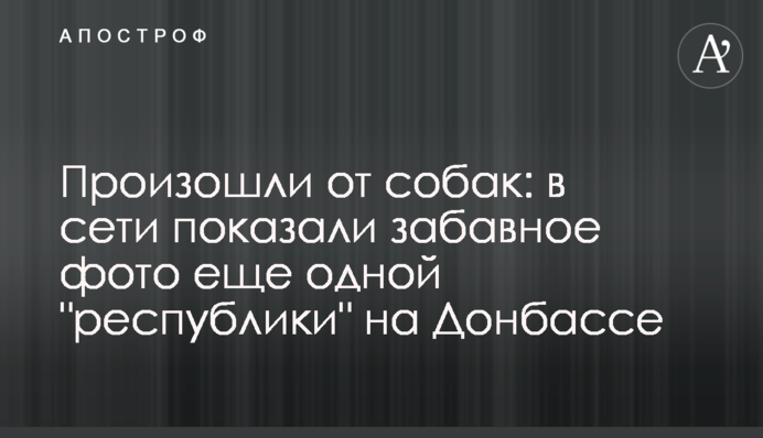 Произошли от собак: в сети показали забавное фото еще одной 