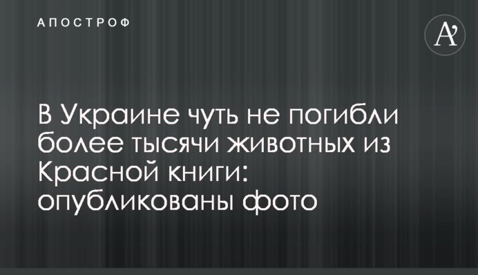 В Україні мало не загинули більше тисячі тварин з Червоної книги: опубліковані фото