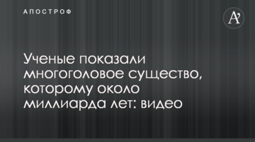 Вчені показали багатоголову істоту, якій близько мільярда років: відео