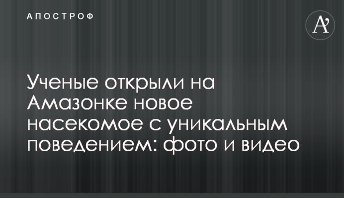 ​Вчені відкрили на Амазонці нову комаху з унікальним поведінкою: фото і відео