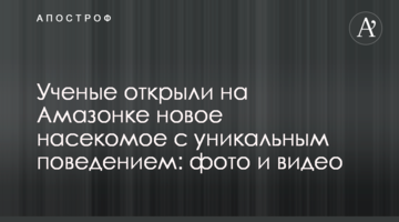 ​Вчені відкрили на Амазонці нову комаху з унікальним поведінкою: фото і відео