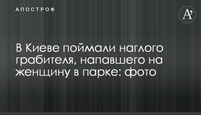 У Києві зловили нахабного грабіжника, який напав на жінку в парку: фото