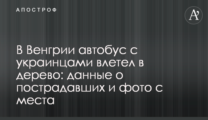 В Венгрии автобус с украинцами влетел в дерево: данные о пострадавших и фото с места