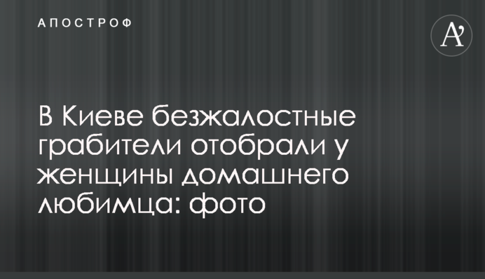 В Киеве безжалостные грабители отобрали у женщины домашнего любимца: фото