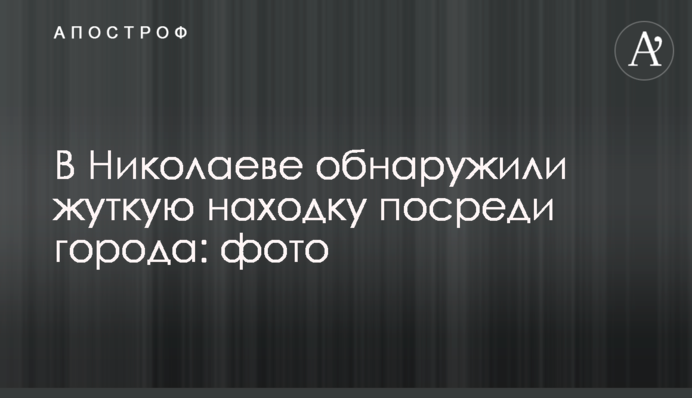 У Миколаєві виявили страшну знахідку посеред міста: фото