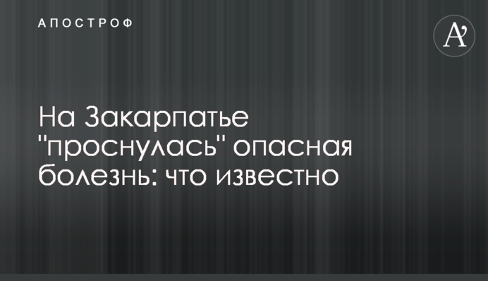 На Закарпатье 