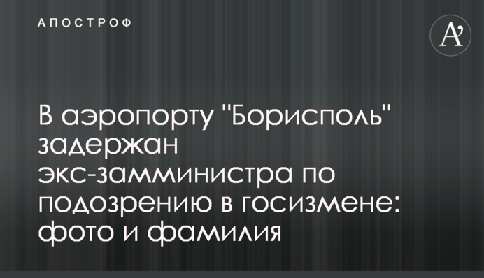 В аэропорту "Борисполь" задержан экс-замминистра по подозрению в госизмене: фото и фамилия