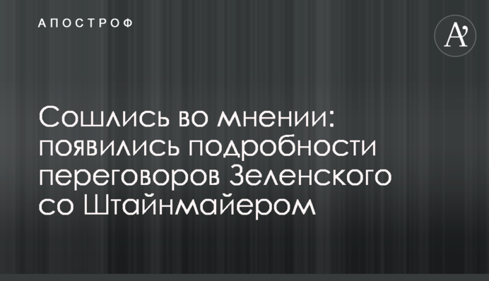 Зійшлися на думці: з'явилися подробиці переговорів Зеленського з Штайнмаєром