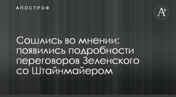 Зійшлися на думці: з'явилися подробиці переговорів Зеленського з Штайнмаєром