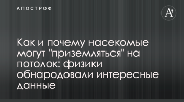 Як і чому комахи можуть 