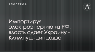 Импортируя электроэнергию из РФ, власть "сдает" интересы Украины - Климпуш-Цинцадзе