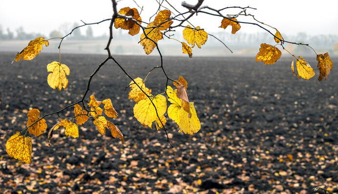 Готуйтеся до холоду: синоптики дали прогноз на початок тижня в Україні