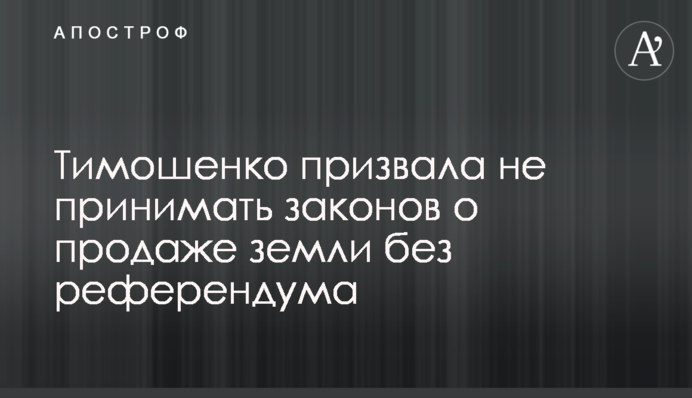 Тимошенко призвала не принимать законов о продаже земли без референдума