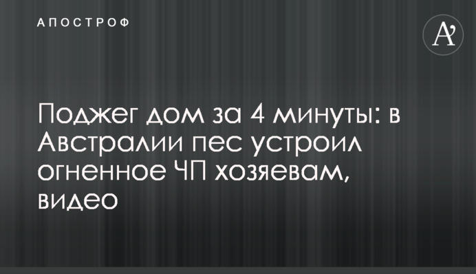 Підпалив будинок за 4 хвилини: у Австралії пес влаштував вогняну НП господарям, відео