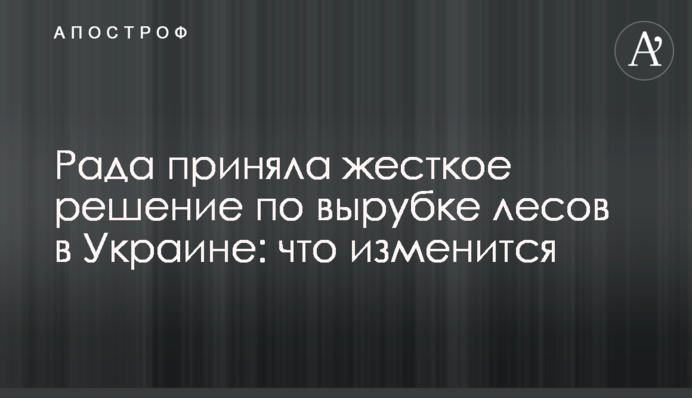 Рада приняла жесткое решение по вырубке лесов в Украине: что изменится
