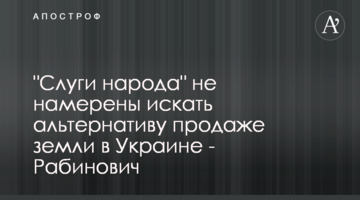 "Слуги народа" не намерены искать альтернативу продаже земли в Украине - Рабинович
