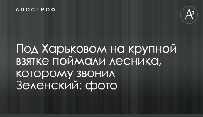 Под Харьковом на крупной взятке поймали лесника, которому звонил Зеленский: фото