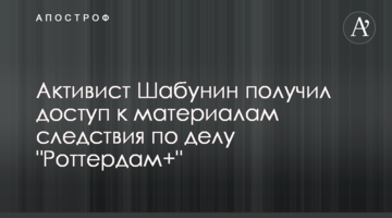 Активист Шабунин получил доступ к материалам следствия по делу "Роттердам+"