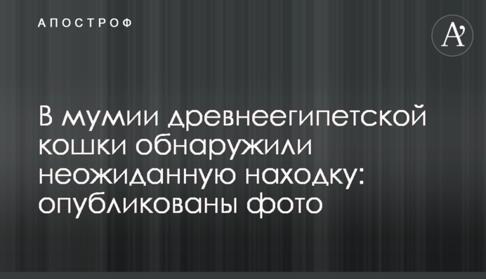У мумії давньоєгипетської кішки виявили несподівану знахідку: опубліковано фото