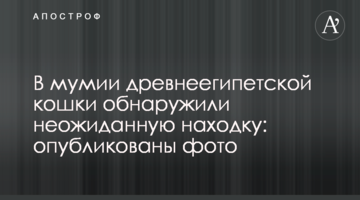 У мумії давньоєгипетської кішки виявили несподівану знахідку: опубліковано фото