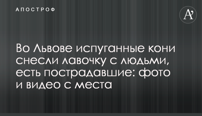 У Львові перелякані коні знесли лавочку з людьми, є постраждалі: фото і відео з місця