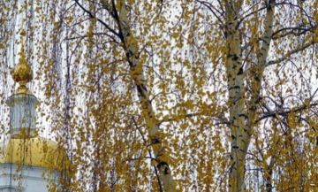 День Казанской иконы Божией Матери: что нельзя делать 4 ноября