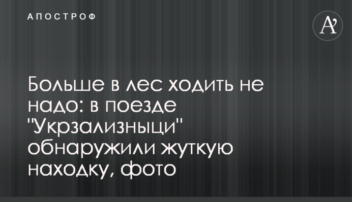 Больше в лес ходить не надо: в поезде 