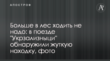 Більше в ліс ходити не треба: в поїзді "Укрзалізниці" виявили страшну знахідку, фото