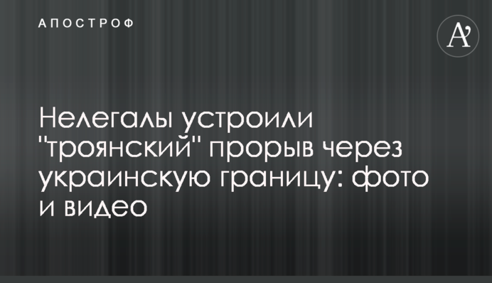 Нелегалы устроили 
