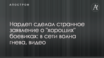 Нардеп сделал странное заявление о "хороших" боевиках: в сети волна гнева, видео