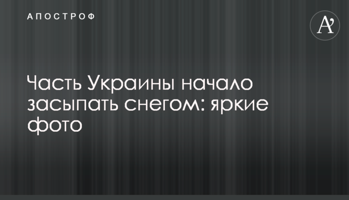 Частину України почало засипати снігом: яскраві фото