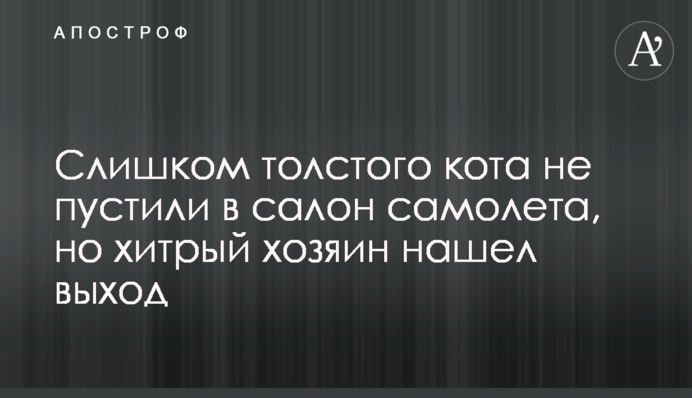 Слишком толстого кота не пустили в салон самолета, но хитрый хозяин нашел выход