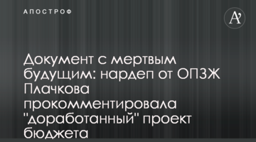 Документ с мертвым будущим: нардеп от ОПЗЖ Плачкова прокомментировала "доработанный" проект бюджета