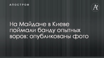 На Майдане в Киеве поймали банду опытных воров: опубликованы фото