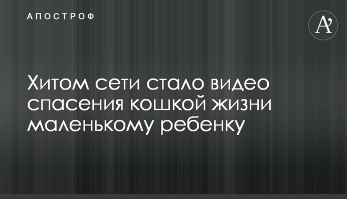 Хитом сети стало видео спасения кошкой жизни маленькому ребенку