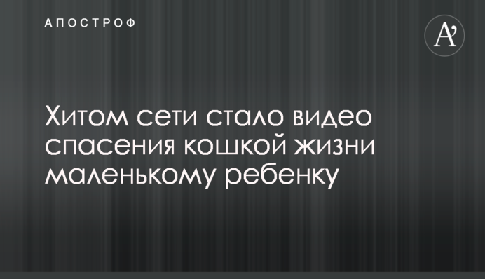 Де дивитися онлайн Шахтар - Динамо: розклад трансляцій