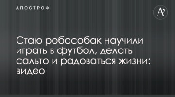 Зграю робособак навчили грати у футбол, робити сальто і радіти життю: відео