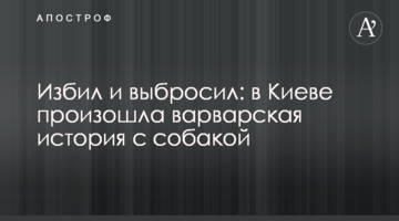 Побив і викинув: в Києві сталася варварська історія з собакою