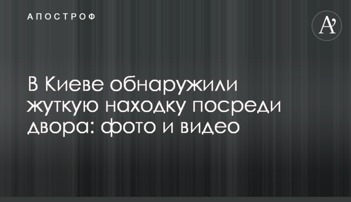 У Києві виявили страшну знахідку посеред двору: фото і відео