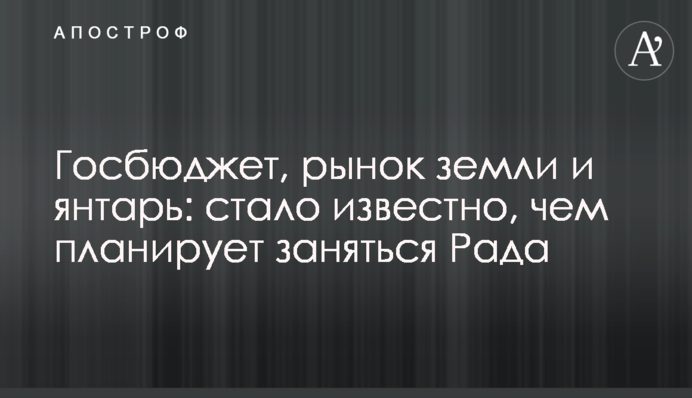 Держбюджет, ринок землі та бурштин: стало відомо, чим планує зайнятися Рада