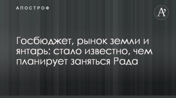 Держбюджет, ринок землі та бурштин: стало відомо, чим планує зайнятися Рада
