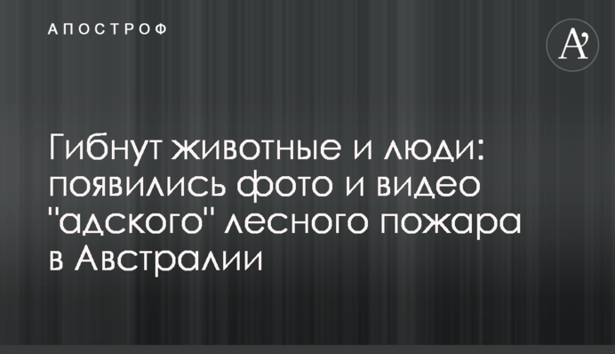 Гинуть тварини і люди: з'явилися фото і відео 