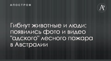 Гинуть тварини і люди: з'явилися фото і відео "пекельної" лісової пожежі в Австралії