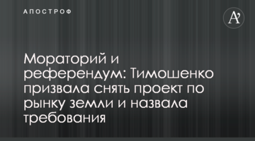 Мораторій та референдум: Тимошенко закликала зняти проект щодо ринку землі та назвала вимоги
