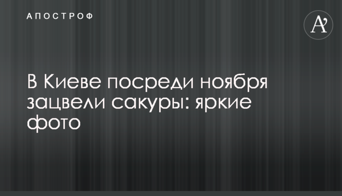 У Києві посеред листопада зацвіли сакури: яскраві фото
